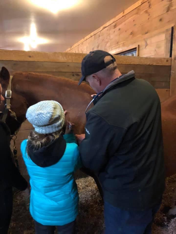 School Programs- horse with kids