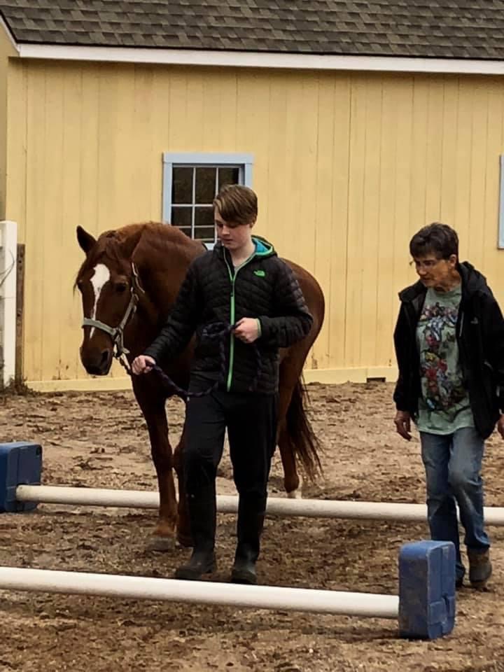 School Programs- horse with kids