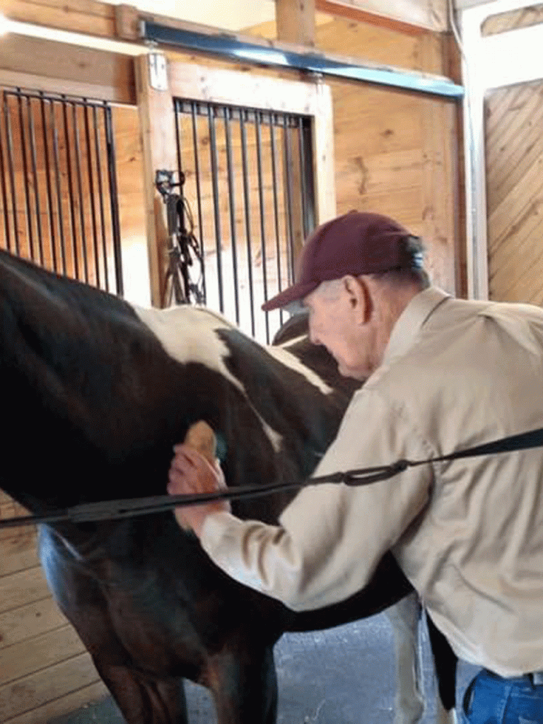 senior brushing a horse